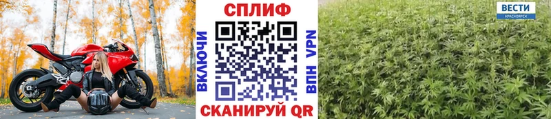 Бошки Шишки план  Купить где  Славянск-на-Кубани 